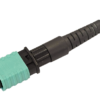 Fusion MPO Splice-on Connectors for Ribbon Fibres