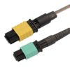 Fusion MPO Splice-on Connectors for Ribbon Fibres